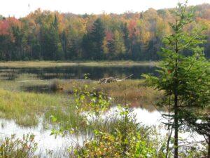 Family Hike at Mont Belair @ Parc naturel du Mont Belair (Base de plein air la découverte)