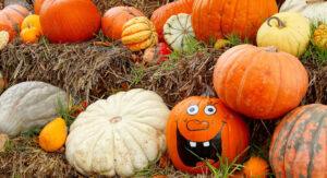 Cancelled: EPIQ Family Pumpkin Decorating @ The Gatehouse at St. Patrick's Cemetery